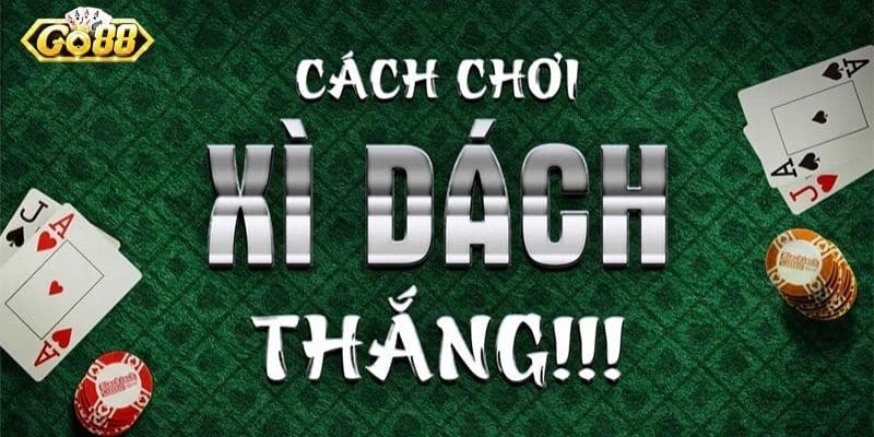 Top 4 cách chơi Xì Dách hay mà bạn nên áp dụng sớm